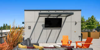 Ion Town Center Gallery 20