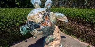 9530 Seagrape Drive Gallery 23
