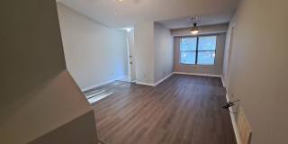 6204 Forest Pines Dr. Gallery 5