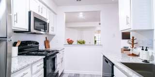 Lyv Austin Gallery 2