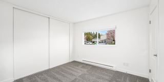 Driftwood Gallery 42