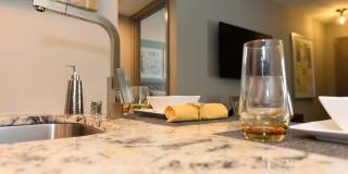 The Element Gallery 19