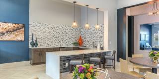 The Pointe at West Lake Gallery 18