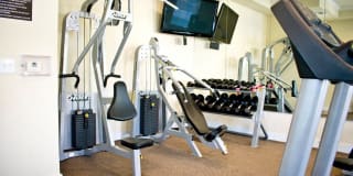 Estate Villas at Krum Gallery 3