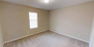 Meadow Wood Gallery 32