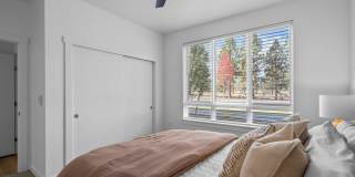 Solis at Petrosa Gallery 9