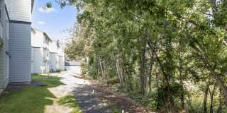 Logger Creek Gallery 11