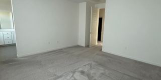 PET FRIENDLY Gallery 16