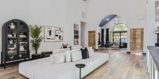 The Orion The Orion Gallery 28