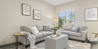 Meadowscape Gallery 7