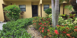 6116 Whiskey Creek Drive Gallery 1