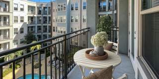 Novus Westshore Gallery 12