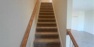 2951 Citrus Street Gallery 16