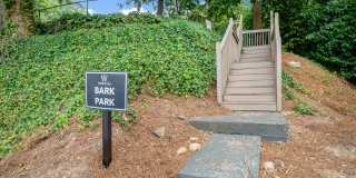 The Whitney Gallery 20