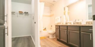 Palmera on 3009 Gallery 9