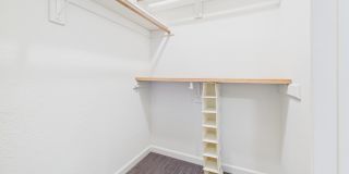 4409 Twisted Tree Dr Gallery 23