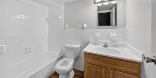 The Forest Apartments Gallery 12