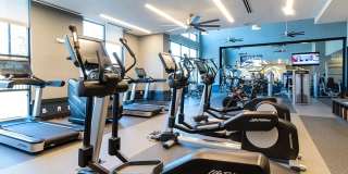 Cortland Oleander Gallery 54