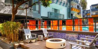 Violet on Virgil Violet on Virgil Gallery 15