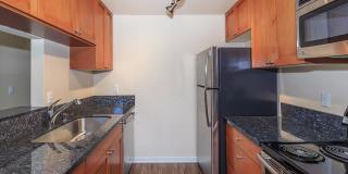 Carrington Gallery 51