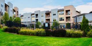 Andante at Nine Mile Station Gallery 7