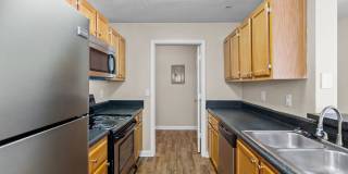 Alessia Gardens Gallery 6