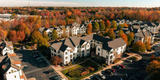 Silver Collection at Waterford Gallery 7