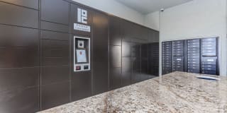 Roots at Waco Gallery 33