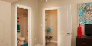 River Garden on St Andrew Gallery 7