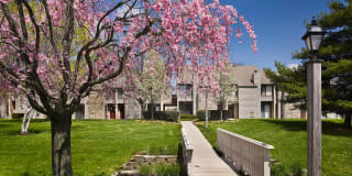 Blue Bell Villas Gallery 1