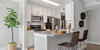 Springfield Apartments Gallery 1