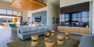 Vive on the Park Gallery 25