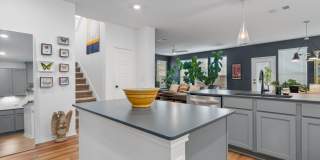 Huge 4-Bedroom Home in Del Valle For Rent Gallery 11