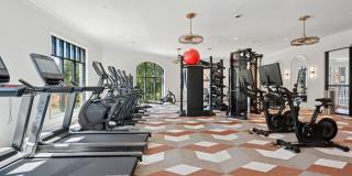 NOVEL Davidson Gallery 4