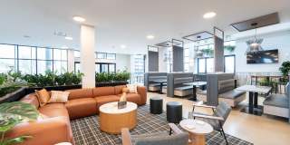 The Patent The Patent Gallery 4