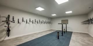 Arcadia 331 Gallery 23