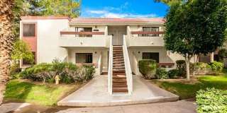 Dream Riverfront 2BR Condo in Bullhead City Gallery 3