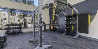 The Lotus Gallery 12