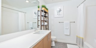 Rooster Gallery 17