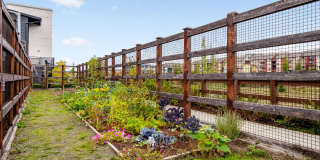 Discovery West Apartments Gallery 10