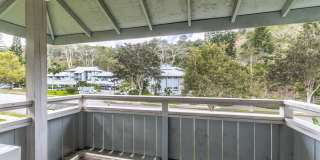 Pool Community and Pet Friendly Home Gallery 13