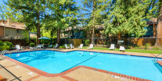 Adorable 3 Bed 1.5 Bath Covell Commons Condo ( fall Rental ) Adorable 3 Bed 1.5 Bath Covell Commons Condo ( fall Rental ) Gallery 18