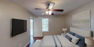 Cozumel Gallery 8