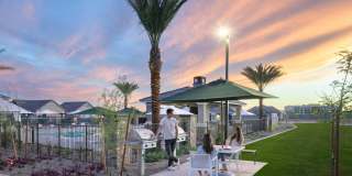 Canopy at Sundance Gallery 2