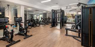 Artisan in Laguna Beach Gallery 6