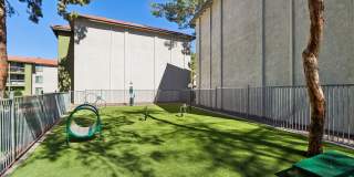 Sahara and Playa Palms Apartments Gallery 30