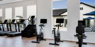 Yardly Elm Gallery 27