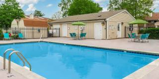 Sussex Downs Gallery 63