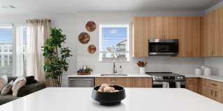 Alexan Overlook Gallery 2