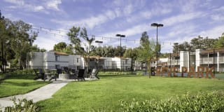 Breve Park Gallery 8